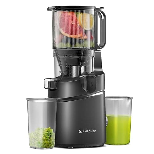 AMZCHEF Automatic Cold Press Juicer Machines 250W Liberate Your Hands -145MM Opening and 2L Capacity Slow Juicers for Whole Fruit and Vegetable, with Triple Filter, Safety Lock, Classic Black - Juicers