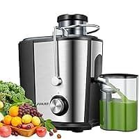Juilist Juicer Machines, Up to 900W Juicer with Anti-drip & Anti-slip Function, Juicers Whole Fruit and Vegetable with 3-Inch Wide Mouth Food Chute, 2 Speeds, Recipe Included, Easy to Clean 600W