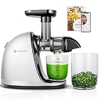 AMZCHEF Juicer Machines - Cold Press Slow Juicer - Masticating Juicer for Whole Fruits and Vegetables - Delicate Chew No Need to Filter — Juicers deal
