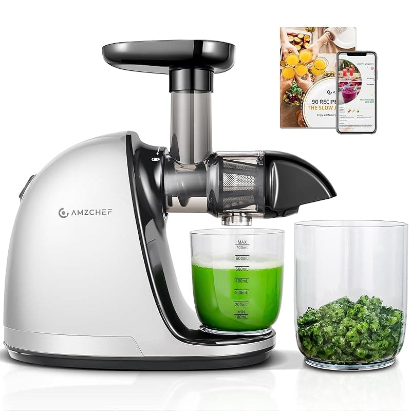AMZCHEF Juicer Machines - Cold Press Slow Juicer - Masticating Juicer for Whole Fruits and Vegetables - Delicate Chew No Need to Filter - Juicers
