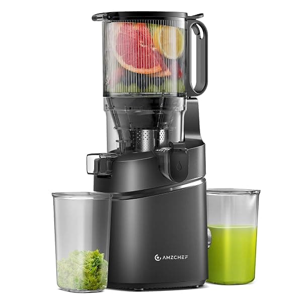 AMZCHEF Automatic Cold Press Juicer Machines 250W Liberate Your Hands -145MM Opening and 2L Capacity Slow Juicers for Whole Fruit and Vegetable, with Triple Filter, Safety Lock, Classic Black — Juicers deal